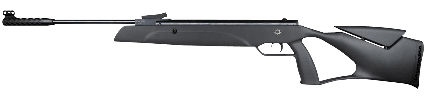 NTX 10 GRS Air Rifle