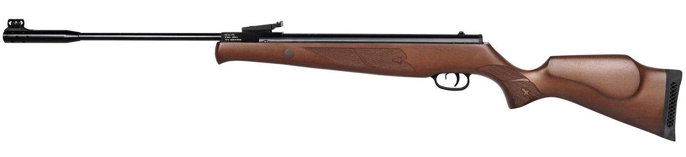 Storm Air Rifle
