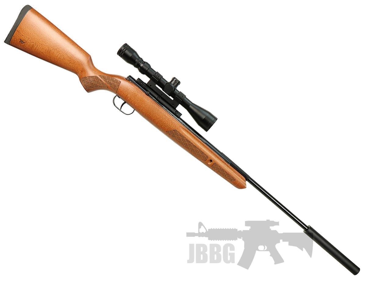 Winchester Model 55RS Air Rifle with Moderator .22 Just Air Guns