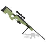 air rifle 1 green