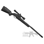 air rifle 1