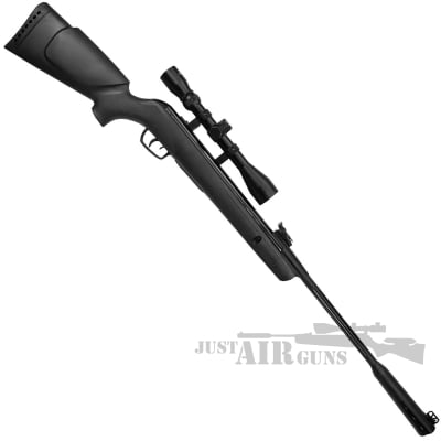 Gamo Whisper Sting Air Rifle