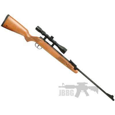 Winchester Model 55RS Air Rifle .22 Special Offer