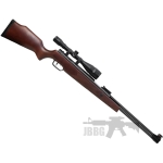 air rifle 38