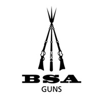 bsa-logo-1