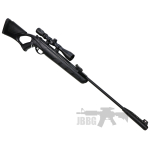 Kral Champion with Silencer Air Rifle Set 22