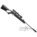 Kral Champion with Silencer Air Rifle Set 22