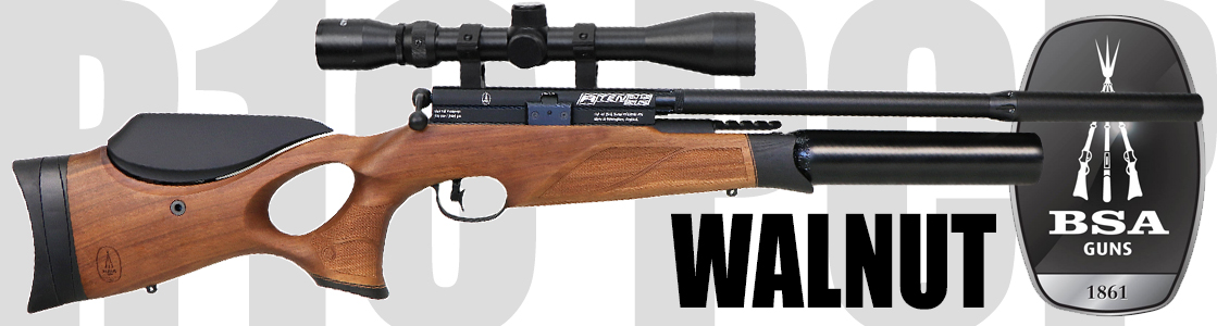 wnt bsa1 air gun