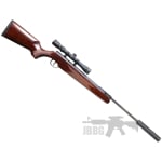 air-rifle-55