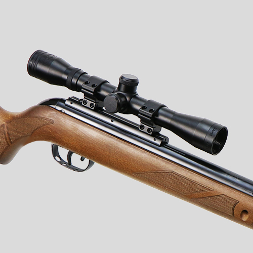 Gamo Hunter 440 Air Rifle .22 with Scope