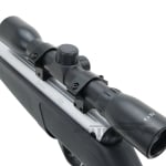 Crosman Silver Fox NP 06