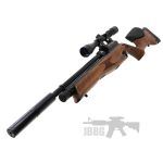 air rifle 55 wood