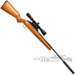 Winchester Model 45RS Air Rifle with Moderator