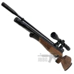 air rifle 002