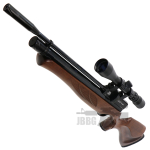 air rifle 3