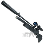 air rifle 200