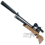 airguns 95