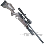 BSA R10 SE PMG Laminate Air Rifle 1