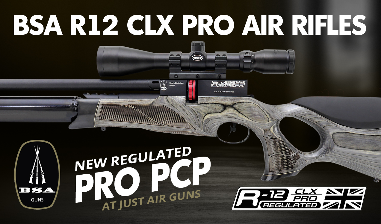 BAS R12 PRO AIR RIFLES BP