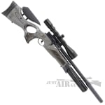 BSA R12 CLX Pro Air Rifle pb 1