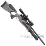 BSA R12 CLX Pro Air Rifle pb 2