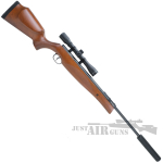 Remington Sabre Air Rifle with Scope and Mounts