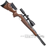 TX200 HC Ultimate Springer WAL Air Rifle