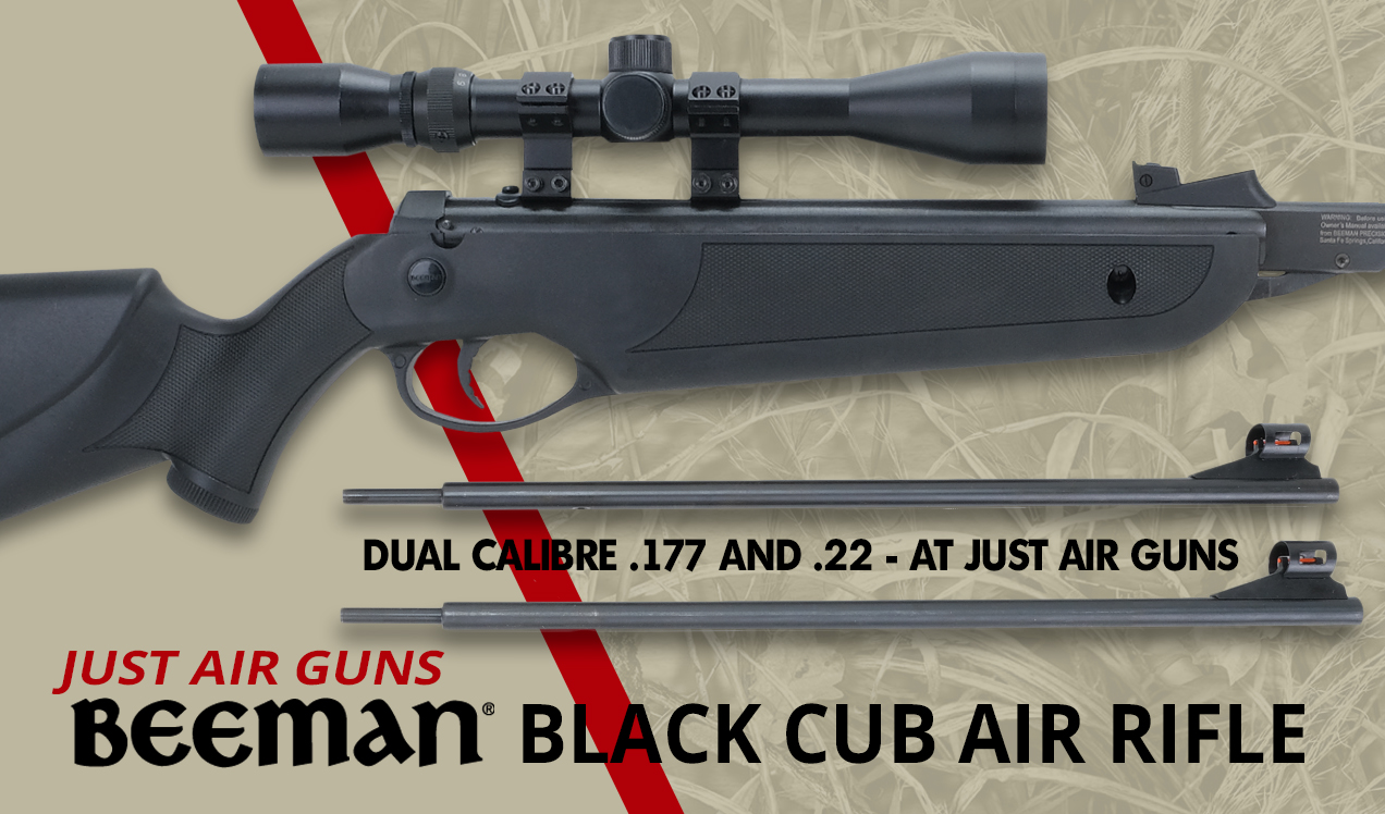 Beeman Black Cub Air Rifle b1