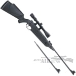 Beeman Black Cub Spring Air Rifle 1