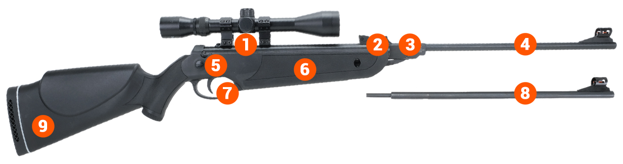 Beeman Black Cub Spring Air Rifle Info UK