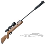 explorer air rifle 4