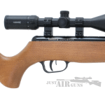 explorer air rifle 5