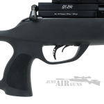 gamo gx-250 air rifle pcp 00