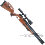 aselkon air rifle pcp 1