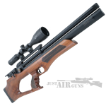 aselkon air rifle pcp ee1