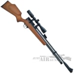 Chief II air rifle 1