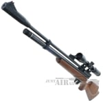 Chief II air rifle 4