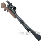 Chief II air rifle 5