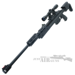 rouge air rifle 5