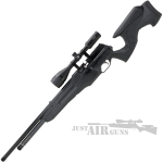 prospect pcp air rifle 2