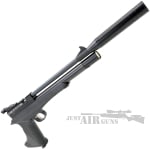 victory airgun black 12