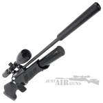 r12 air rifle trimex arms bsa 02