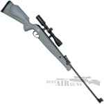 Atlantic Air Rifle Norica