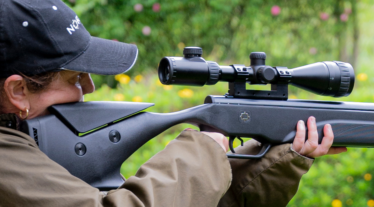 Air Guns