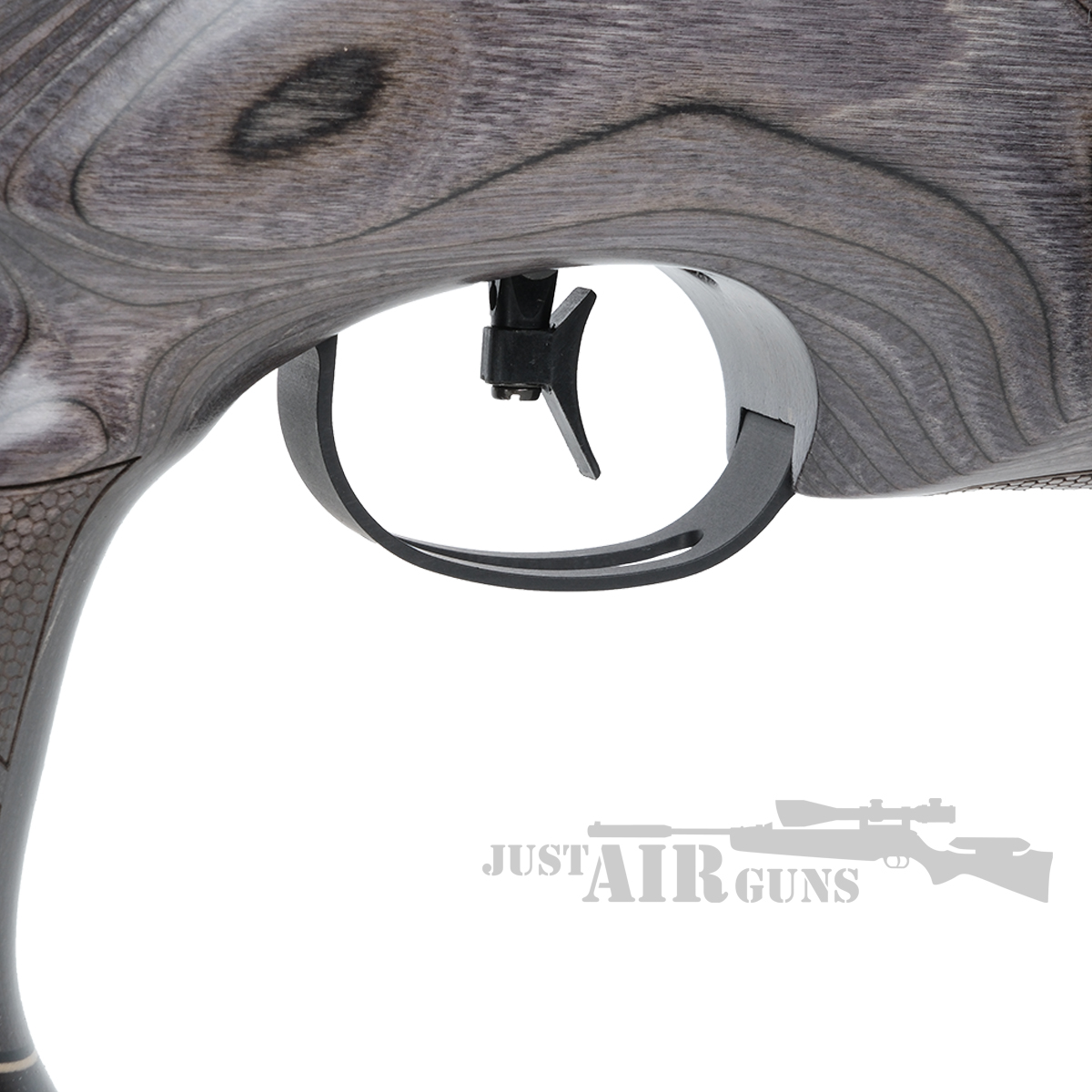 BSA R12 CLX Pro Carbon Black Pepper Stock Air Rifle .22 - Just Air Guns
