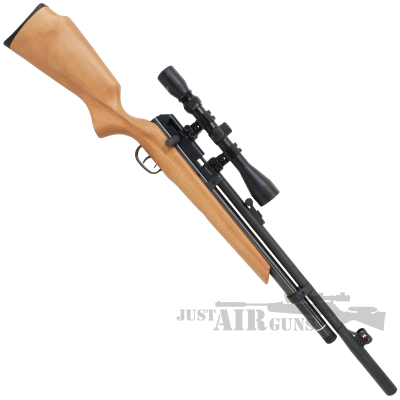 Beeman Raider PCP Air Rifle with Wood Stock